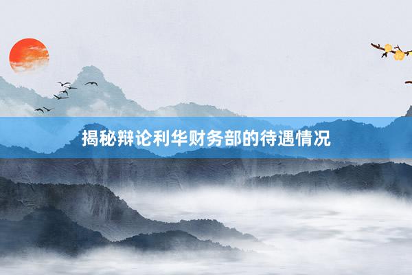 揭秘辩论利华财务部的待遇情况